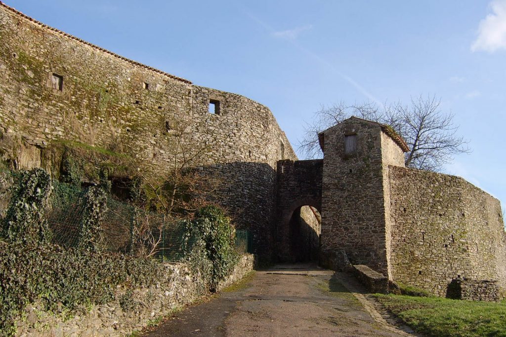 Château de Vouvant